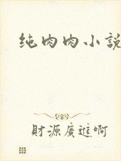 纯肉肉小说