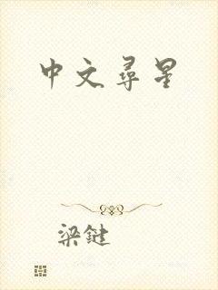 中文寻星