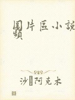 图片区小说区视频