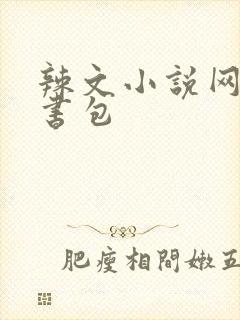 辣文小说网第二书包