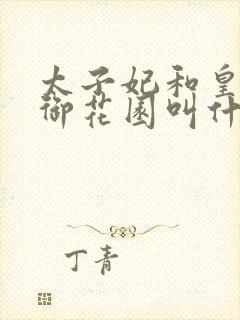 太子妃和皇帝在御花园叫什么小说