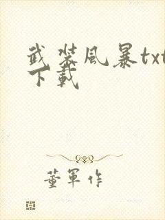武装风暴txt下载