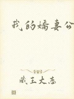 我的娇妻公务员