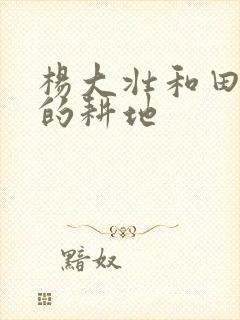 杨大壮和田桂花的耕地