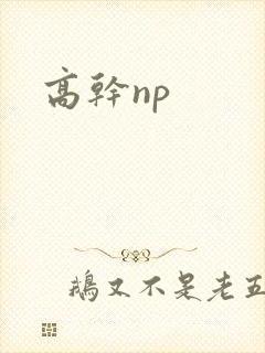 高干np