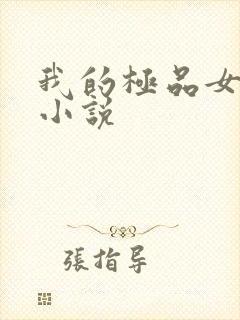 我的极品女老师小说