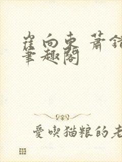 崔向东 萧错 笔趣阁