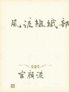 风流组织部长