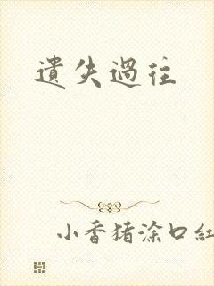 遗失过往封面