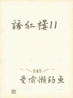 诱红楼11