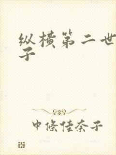 纵横第二世界宽子