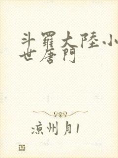 斗罗大陆小说绝世唐门