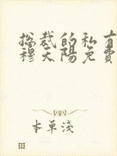 总裁的私有宝贝穆天阳免费