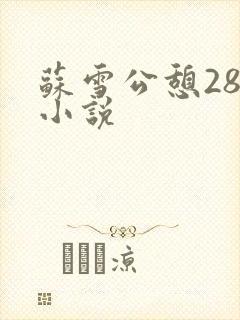 苏雪公憩28篇小说
