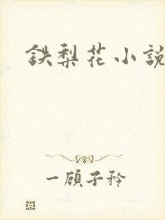 铁梨花小说