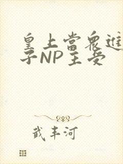 皇上当众进入太子NP主受