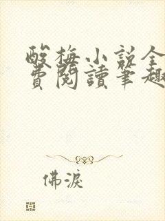 酸梅小说全文免费阅读笔趣阁