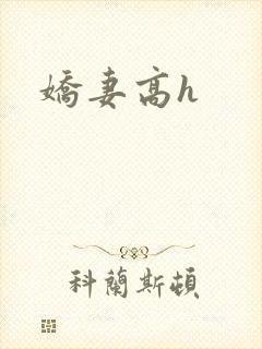 娇妻高h