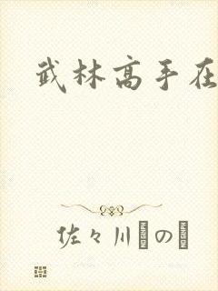 武林高手在异界