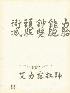 街头钞能力无删减版双胞胎