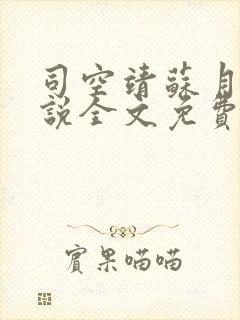 司空靖苏月汐小说全文免费阅读