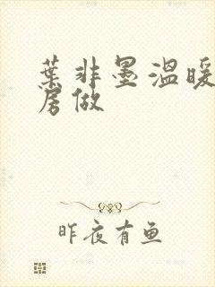 叶非墨温暖在厨房做