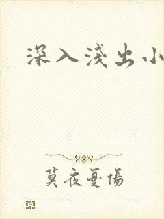 深入浅出小说