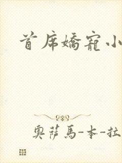 首席娇宠小情人