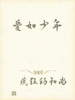 爱如少年