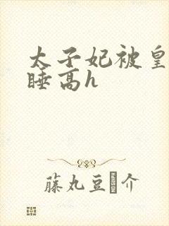 太子妃被皇上强睡高h