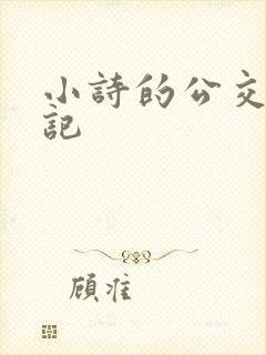 小诗的公交车日记