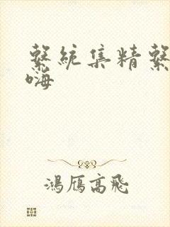 系统集精系统高嗨