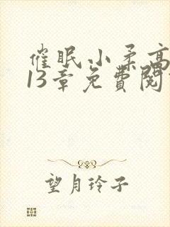 催眠小柔高达第13章免费阅读