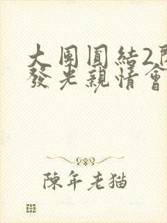 大团圆结2闪闪发光亲情会