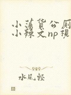 小荡货公厕h文小辣文np视频