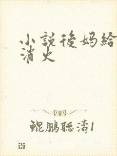 小说后妈给我消消火