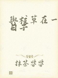 与校草在一起的日子