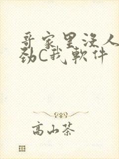 哥家里没人使点劲C我软件