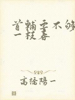 首辅要不够po一枝春