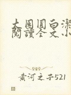 大团圆白洁免费阅读全文小说