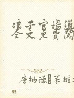 浪子官场猎艳记全文免费阅读