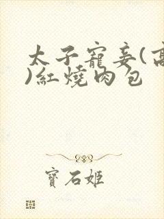 太子宠妾(高肉)红烧肉包