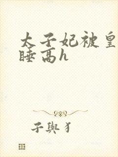 太子妃被皇上强睡高h