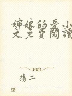 婶娘的爱小说全文免费阅读