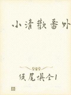 小清欢番外