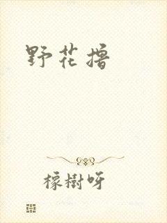 野花撸