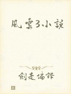 风云3小说