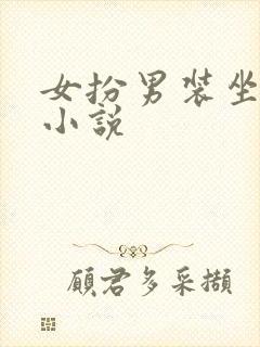 女扮男装坐江山小说