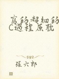 写的超细的多肉C过程原耽