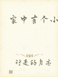 家中有个小姨子